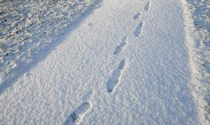 Snow and ice on sidewalks poses challenges for students walking to class.