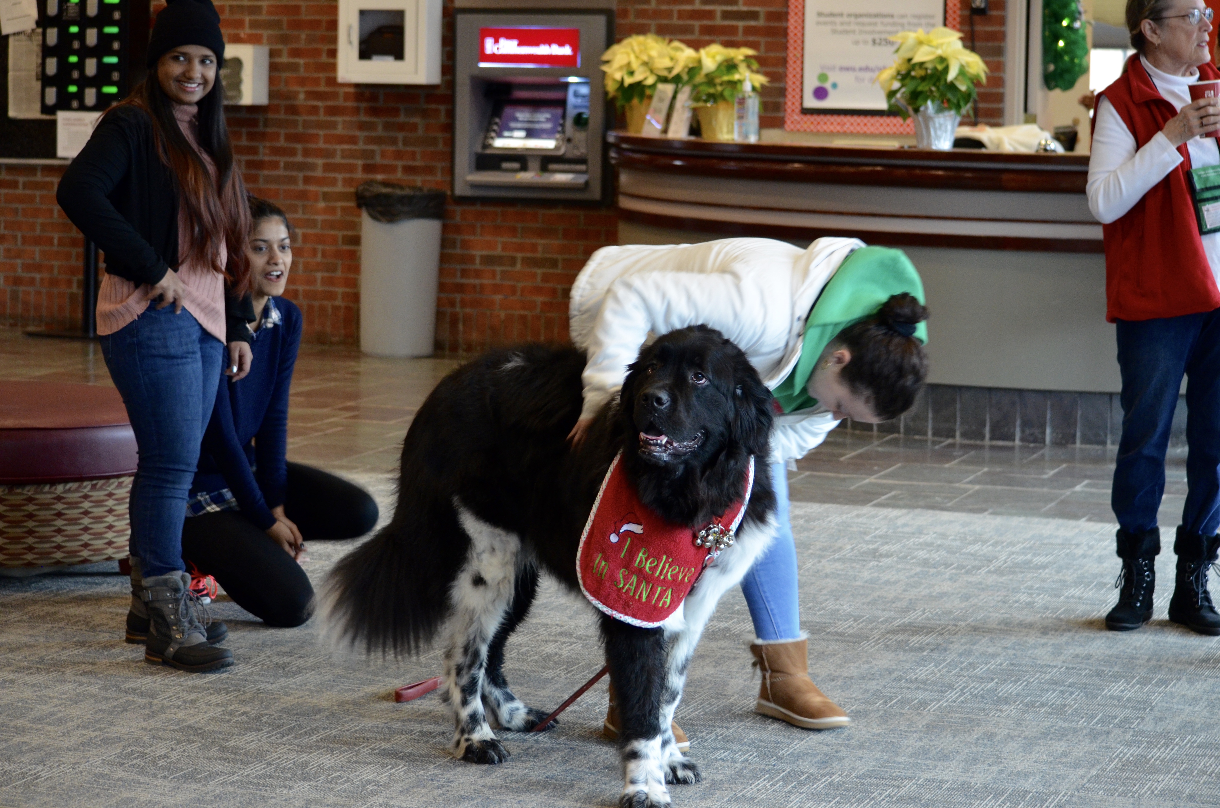 Therapy Dogs Relieve Stressed Students